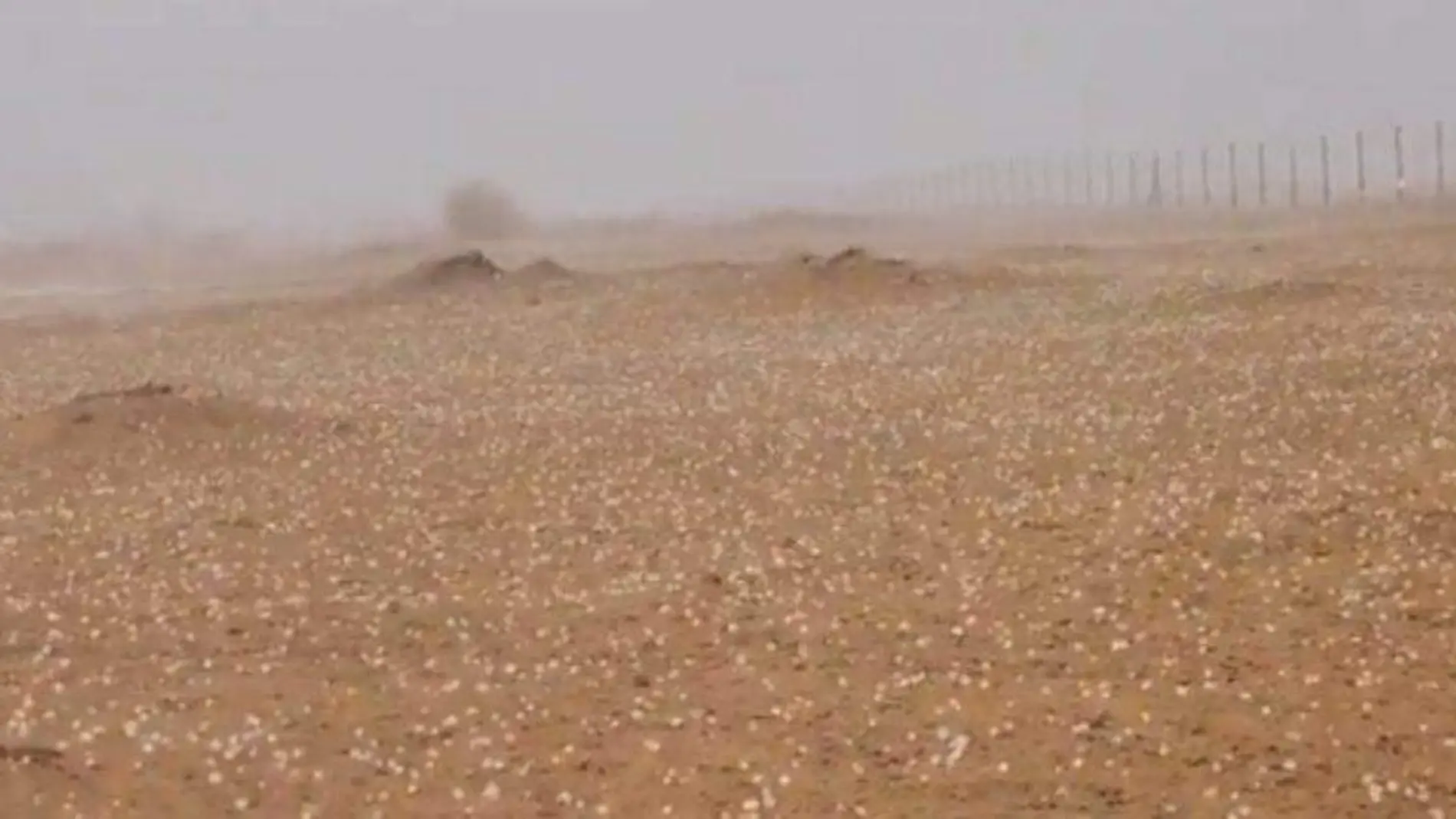 Cae granizo en el desierto, un evento extremo por el cambio climático